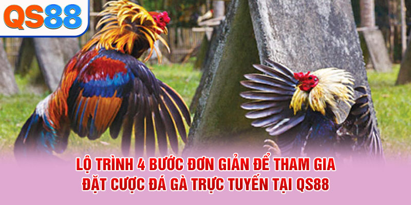 Lộ trình 4 bước đơn giản để tham gia đặt cược đá gà trực tuyến tại QS88